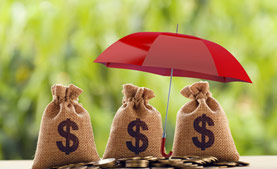 Travel Insurance